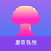 borrow视频app下载的简单介绍